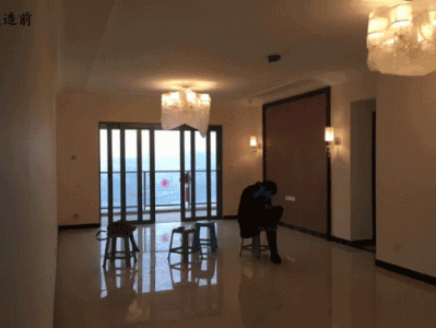 印度橡胶树的生长环境及其科学分类