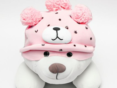 熊童子的扦插方法及技巧