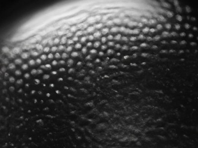 墙面刷漆详细步骤与注意事项