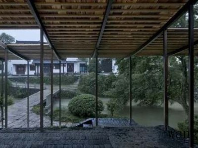 滴水观音（滴水观音的毒性有多大）