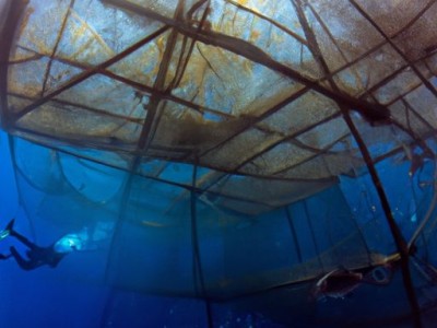 太平洋网官网：为装修业主提供全方位的装修指南和服务