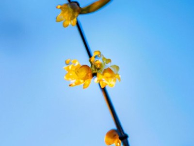 墙面粉刷的四大作用