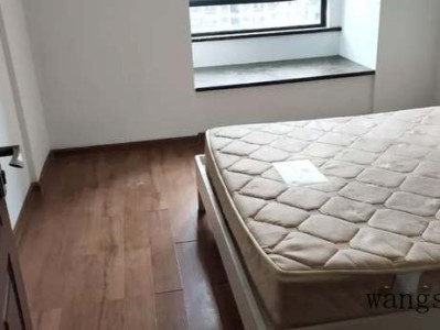 球松（球松多肉的养殖方法和注意事项）