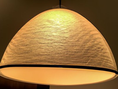 羊奶粉哪个牌子好（羊奶粉十大名牌排行榜）