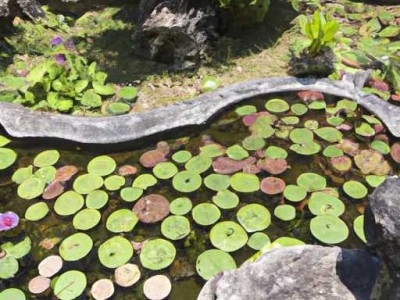 赣州哪个超市有进口锅及锅巴卖？