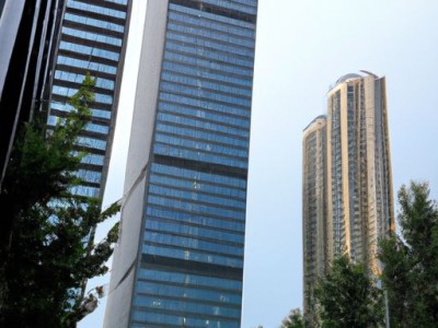 扶桑（扶桑花）