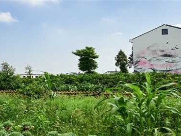 买房公摊面积百分之二十合适吗