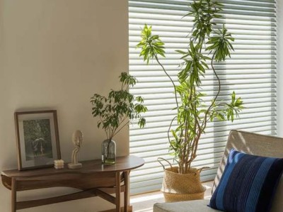 保健枕头（保健枕头里面装什么好）