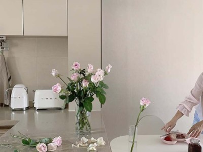 用什么样的墙漆好 刷墙漆的流程有哪些