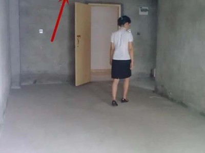 假龙头花（假龙头花图片）