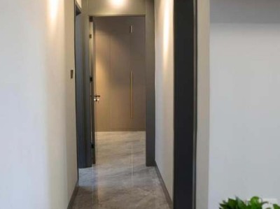 千兔耳（千兔耳多肉植物图片）