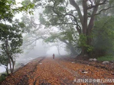 九月，送你一波超美壁纸