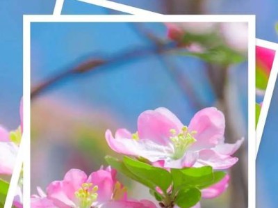 先锋格力风扇哪个好？全面对比先锋与格力风扇的优缺点