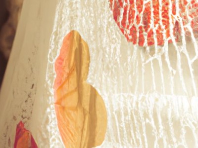 换纱窗及换纱窗网多少钱一扇？