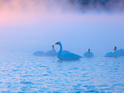 中式沙发（中式沙发图片大全）