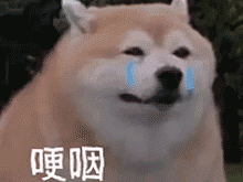 墙面粉刷面积如何计算