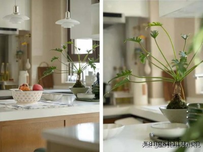 品胜充电宝哪个牌子好（品胜充电宝哪个牌子好耐用质量好）