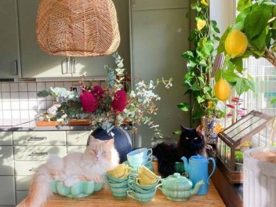 如何选购防水涂料？