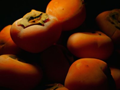 柿蒂的功效与作用