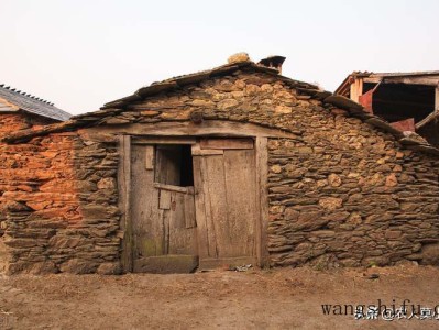洗衣机哪个牌子好（洗衣机哪个牌子好用又耐用）