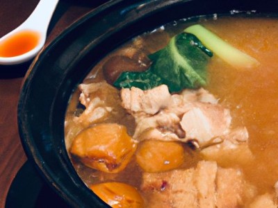 国外哪个牌子的锅好？