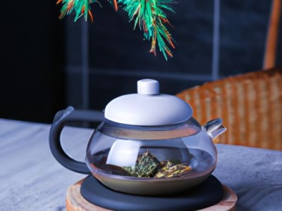 容声海信哪个质量好（海信 容声 哪个好）