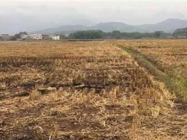 土地流转能建厂房吗