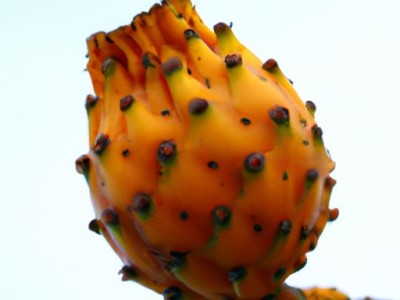 客厅的隔断有哪种样式