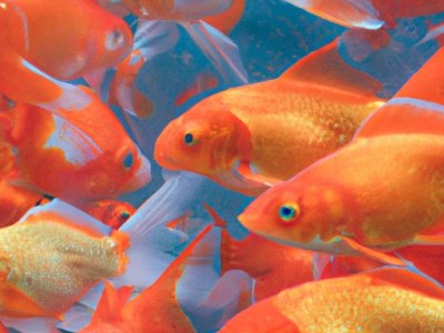 家装漆面自己刷！油漆工艺施工流程详解