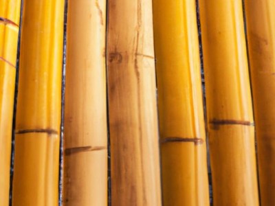 竹木地板价格及优缺点详解