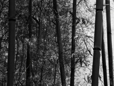 竹席凉席哪个牌子及竹席凉席哪个牌子的好