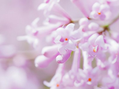 增压花洒：真的能增压吗？