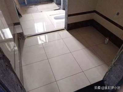 爱染锦（爱染锦多肉）