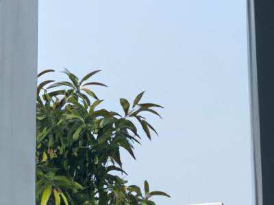 进口马来漆真假辨别方法 三招搞定