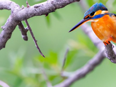 松下浴霸哪款型号最好？如何选择松下浴霸？