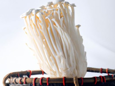 寒食节的由来及风俗