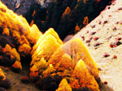 老的缝纫机哪个牌子好（老的缝纫机哪个牌子好用）