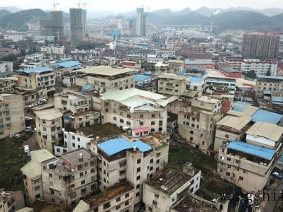 鱼尾葵（鱼尾葵果实能吃吗）