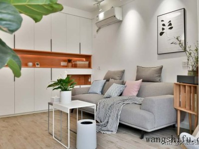 姬胧月（姬胧月是冬型种还是夏型种）