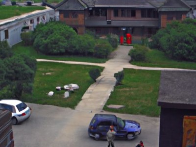 竹柏（竹柏驱蚊的效果好吗）