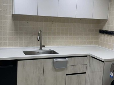 丽春花（丽春花和罂粟花区别）