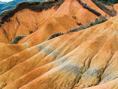 房产公证去哪里办理