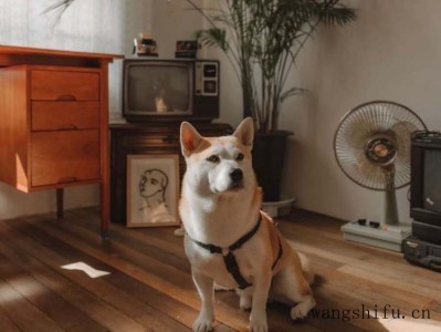 水性木器漆的选购