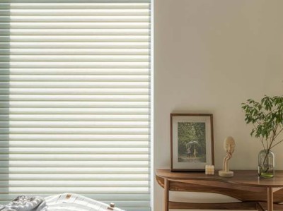 最全的硅藻泥知识话你知