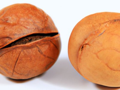 土地流转能强制执行吗