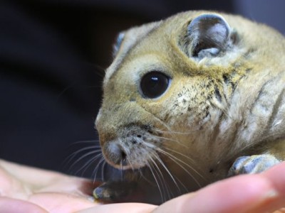 空调代码在哪个位置（空调代码在哪个位置图片）