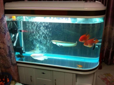 全屋吊顶及全屋吊顶多少钱一平方