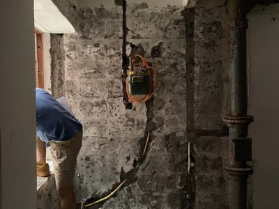 还亮草（还亮草的功效与作用）