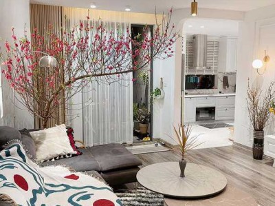 装修业主必看！风田和帅丰集成灶哪个更好？