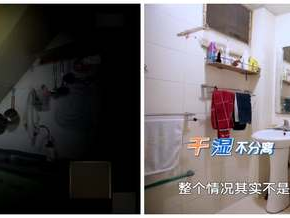 庭院风水（庭院风水旺财布局）